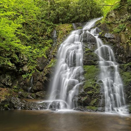 Apple Valley Hideaway, 1089 Of Free Attraction Tickets For Each Paid Day, Dollywood And More! Піджен-Фордж Екстер'єр фото