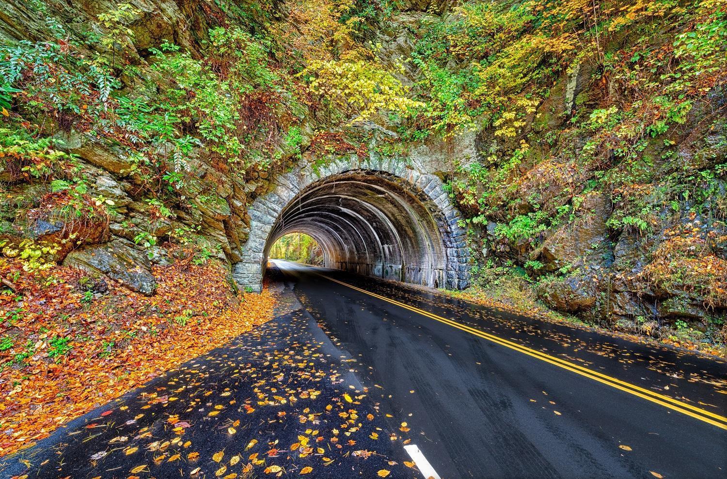 Apple Valley Hideaway, 1089 Of Free Attraction Tickets For Each Paid Day, Dollywood And More! Піджен-Фордж Екстер'єр фото