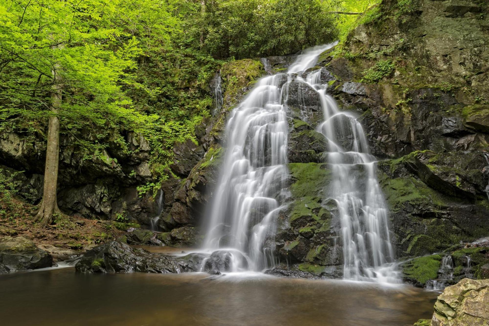 Apple Valley Hideaway, 1089 Of Free Attraction Tickets For Each Paid Day, Dollywood And More! Піджен-Фордж Екстер'єр фото
